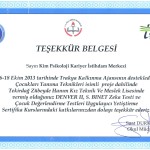 psikoloji eğitimleri