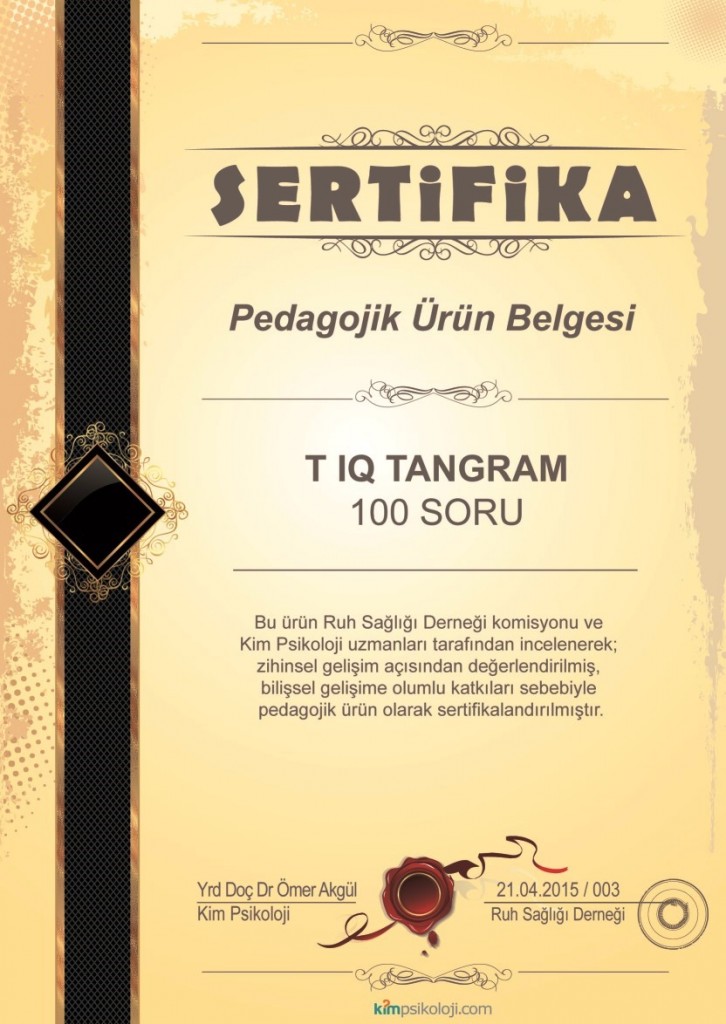 ahşap iIQ T tangram pedagojik ürün belgesi sertifika