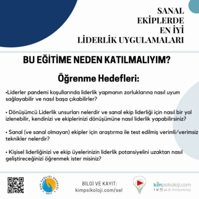 sanal ekiplerde en iyi liderlik uygulamaları